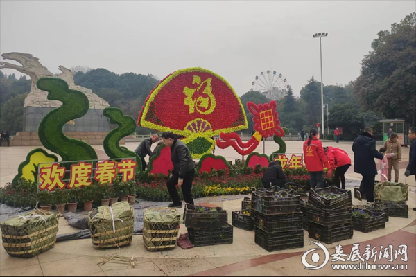 图片2